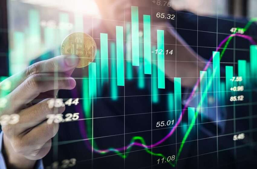  More than $200 billion erased from entire crypto market in a day as sell-off intensifies